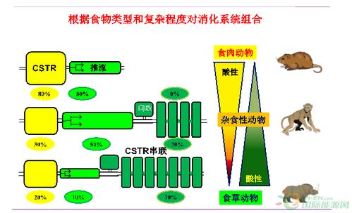 王凯军 沼气新技术发展及产品高值化利用