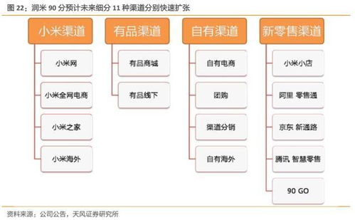 天风纺服 深度稀缺消费升级标的, b2c b2b双快速增长有望超预期