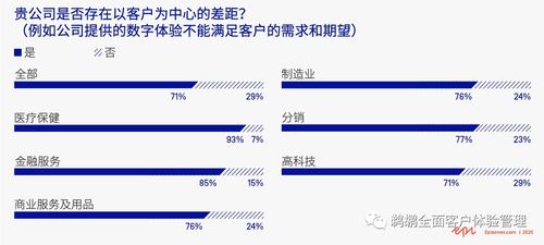 episerver 2020 年 b2b 数字体验报告