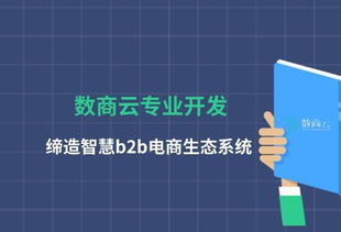 数商云专业开发,缔造智慧b2b电商生态系统